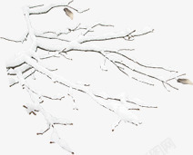 白雪冬季树枝淘宝促销素材
