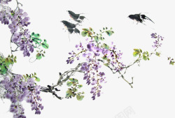 手绘紫藤小鸟儿与紫藤高清图片
