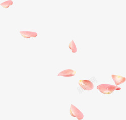 粉色梦幻飘浮花瓣露珠素材