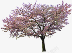 粉色唯美大树景观素材