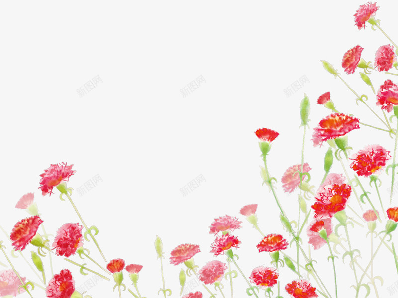 红色美丽康乃馨花丛png免抠素材_88icon https://88icon.com 妈妈 母亲节 母亲节快乐 母爱 花丛 花朵 鲜花