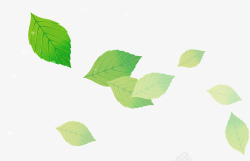 漂浮清新绿色夏季透明树叶素材