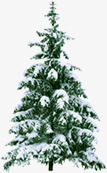 圣诞节日冬日大树素材
