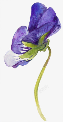 紫色花卉水墨图案素材