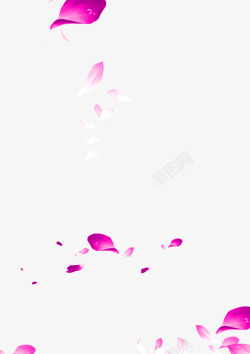 粉红色小清新花瓣漂浮素材