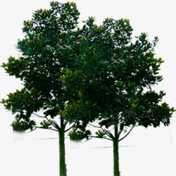 摄影合成效果绿色大树树木素材