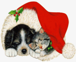 圣诞节的猫圣诞爱情高清图片