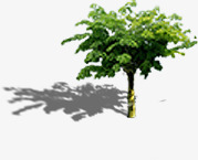 创意绿色大树摄影环境渲染素材