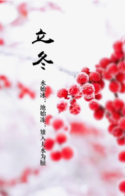 立冬节寒梅立冬高清图片