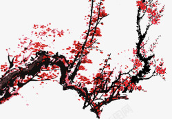枝头腊梅红色冬季素材