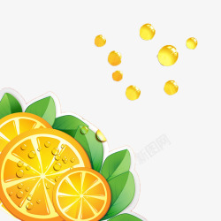 鲜橙片鲜橙片高清图片