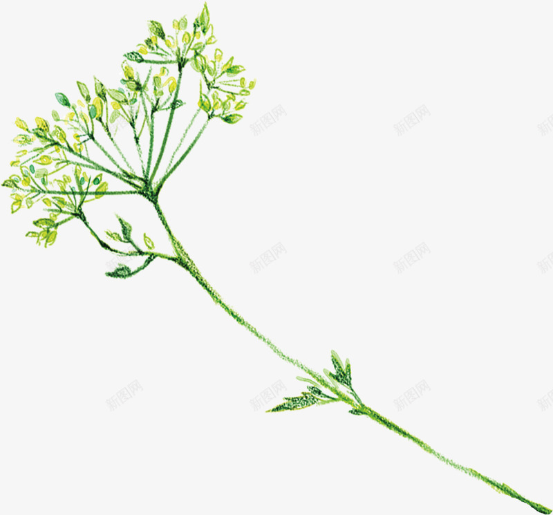 春日发芽大树手绘png免抠素材_88icon https://88icon.com 发芽 大树 春日