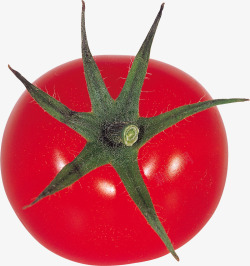 鲜红西红柿圣女果番茄素材