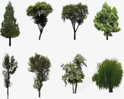 多种大树场景分类素材