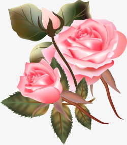 手绘美丽月季花玫瑰花素材