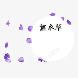 紫色字体设计薰衣草花瓣高清图片