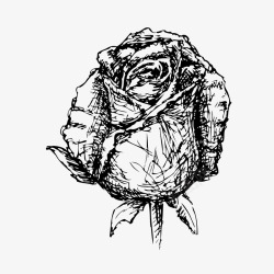 玫瑰花边花纹手绘素材