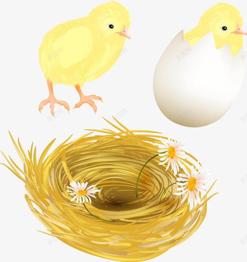 破壳的小鸡png免抠素材_88icon https://88icon.com 兔子 创意 卡通 复活节 彩蛋 手绘 花篮 金蛋