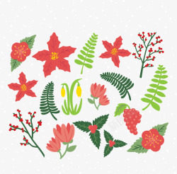 美丽的冬季花朵装饰矢量图素材