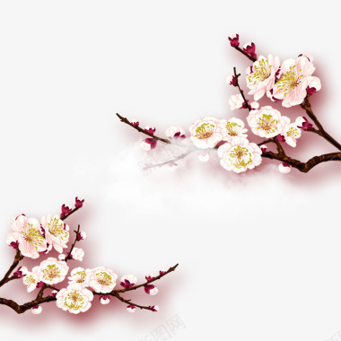 枝干白色暖冬梅花图标图标
