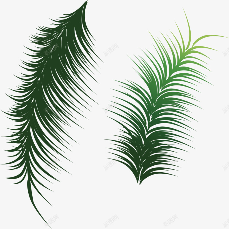 绿色椰叶png免抠素材_88icon https://88icon.com 叶子 椰叶 漂浮 绿色 装饰
