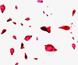 红色鲜花花瓣飞舞漂浮素材