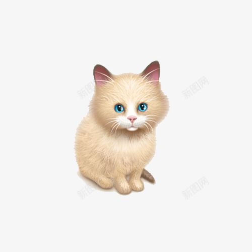 写实可爱猫咪psd免抠素材_88icon https://88icon.com 动物 小猫 波斯猫 波斯猫插画 猫咪 黄色波斯猫