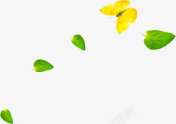 绿色清新漂浮树叶黄色树叶造型蝴蝶素材