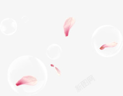 粉色唯美漂浮气泡花瓣素材