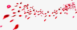红色婚礼漂浮花瓣素材