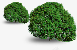 绿色大树环保植物装饰素材