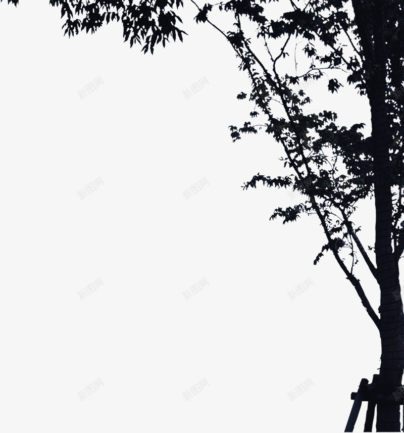 创意合成摄影室外的大树png免抠素材_88icon https://88icon.com 创意 合成 大树 室外 摄影