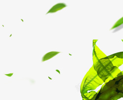 漂浮的叶子素材