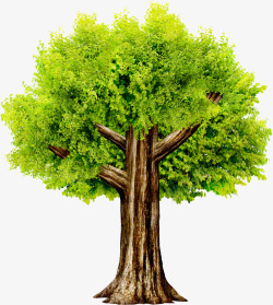 绿色生长大树景观素材