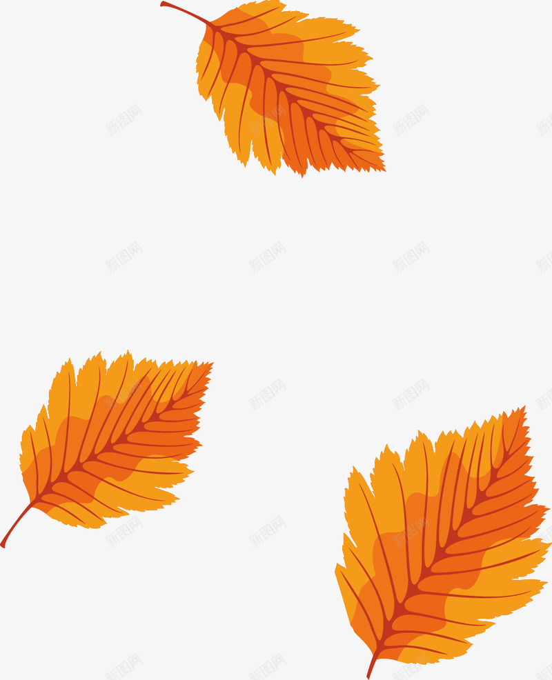飘浮的叶子png免抠素材_88icon https://88icon.com 叶子矢量图 手绘黄叶 红色枫叶