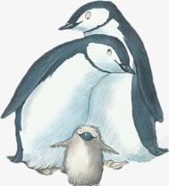 企鹅一家人素材