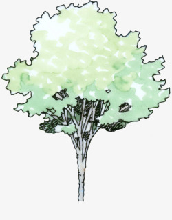 手绘绿色大树插画素材