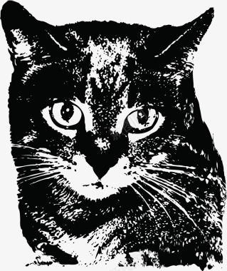 简笔画传神的猫咪矢量图图标图标