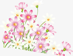 粉色简约美丽花朵创意素材