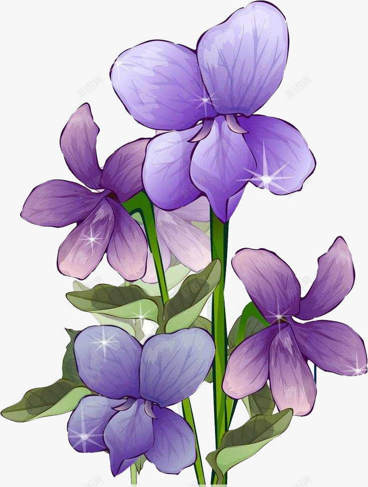绽放的紫罗兰png免抠素材_88icon https://88icon.com 手绘 手绘紫罗兰 植物 紫罗兰 紫罗兰卡通 紫色 绿色 美丽 花朵 芳香