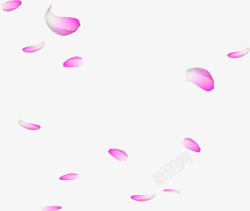 粉色漂浮花瓣可爱素材