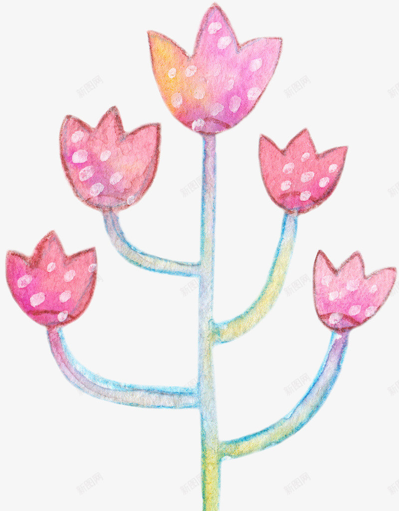 水彩粉红色花朵图案png免抠素材_88icon https://88icon.com 手绘图 桔梗 水彩 美丽的 花卉 花朵 装饰