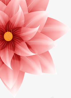 粉色鲜艳美丽花朵手绘素材