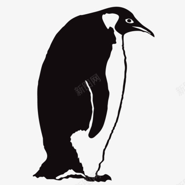 企鹅手绘帝企鹅元素矢量图图标图标