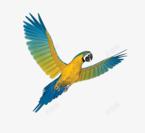 漂浮花瓣气泡简洁大方png免抠素材_88icon https://88icon.com 可爱 气泡 漂浮 简洁 花瓣 边框