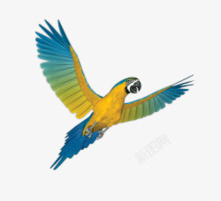 漂浮花瓣气泡简洁大方素材