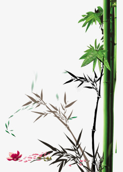 绿色的水珠竹林听雨高清图片