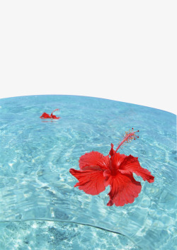海滩风景漂浮的红色花朵素材