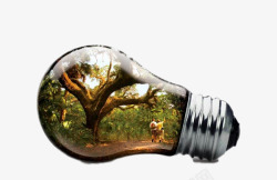 创意灯泡中的大树素材