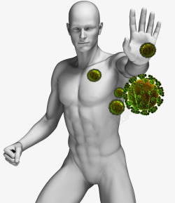 免疫人体免疫功能高清图片